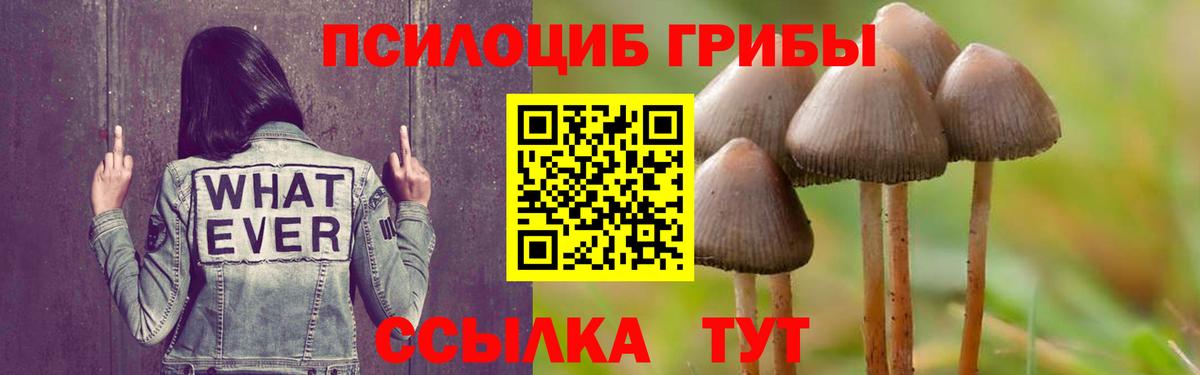 Псилоцибиновые грибы Psilocybe  цена   Амурск  Галлюциногенные грибы MAGIC MUSHROOMS  Вход с VPN 